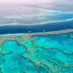 Great Barrier Reef Australia Terumbu Karang Terbesar Di Dunia