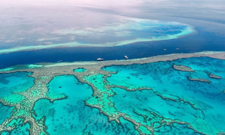 Great Barrier Reef Australia Terumbu Karang Terbesar Di Dunia