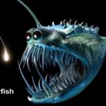 Ikan Lantern Lanternfish Ikan Kecil Berkilau Di Lautan