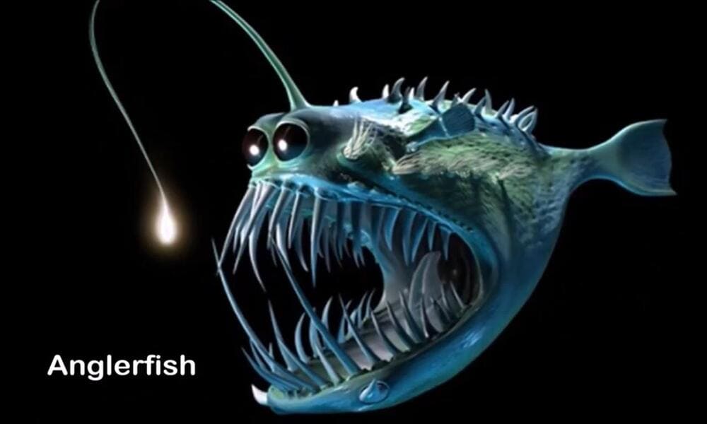 Ikan Lantern Lanternfish Ikan Kecil Berkilau Di Lautan