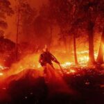 Kebakaran Hutan California 2020 Menjadi Trauma Mendalam Bagi California