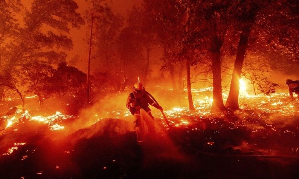 Kebakaran Hutan California 2020 Menjadi Trauma Mendalam Bagi California